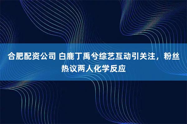 合肥配资公司 白鹿丁禹兮综艺互动引关注，粉丝热议两人化学反应
